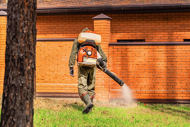 Bed Bug Clearance Verification and Documentation in Moss Bluff